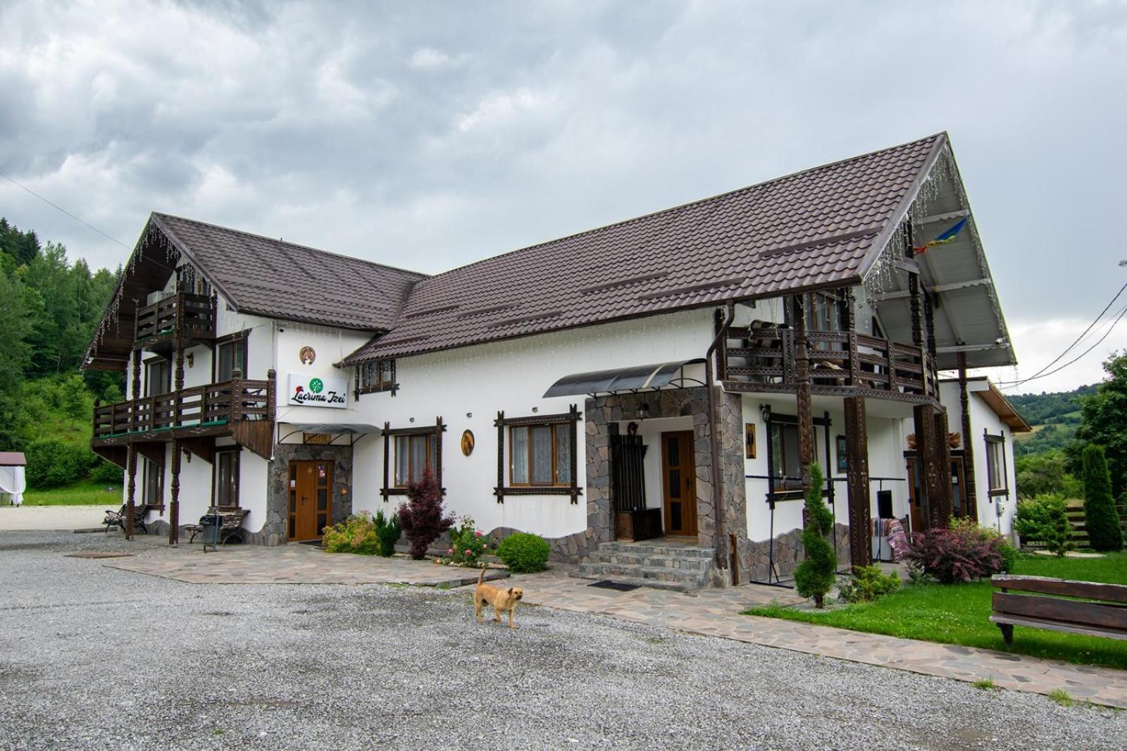 Lacrima Izei Villa Săcel Exterior foto